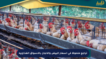 تراجع ملحوظ في أسعار البيض والألبان بالأسواق الغذائية